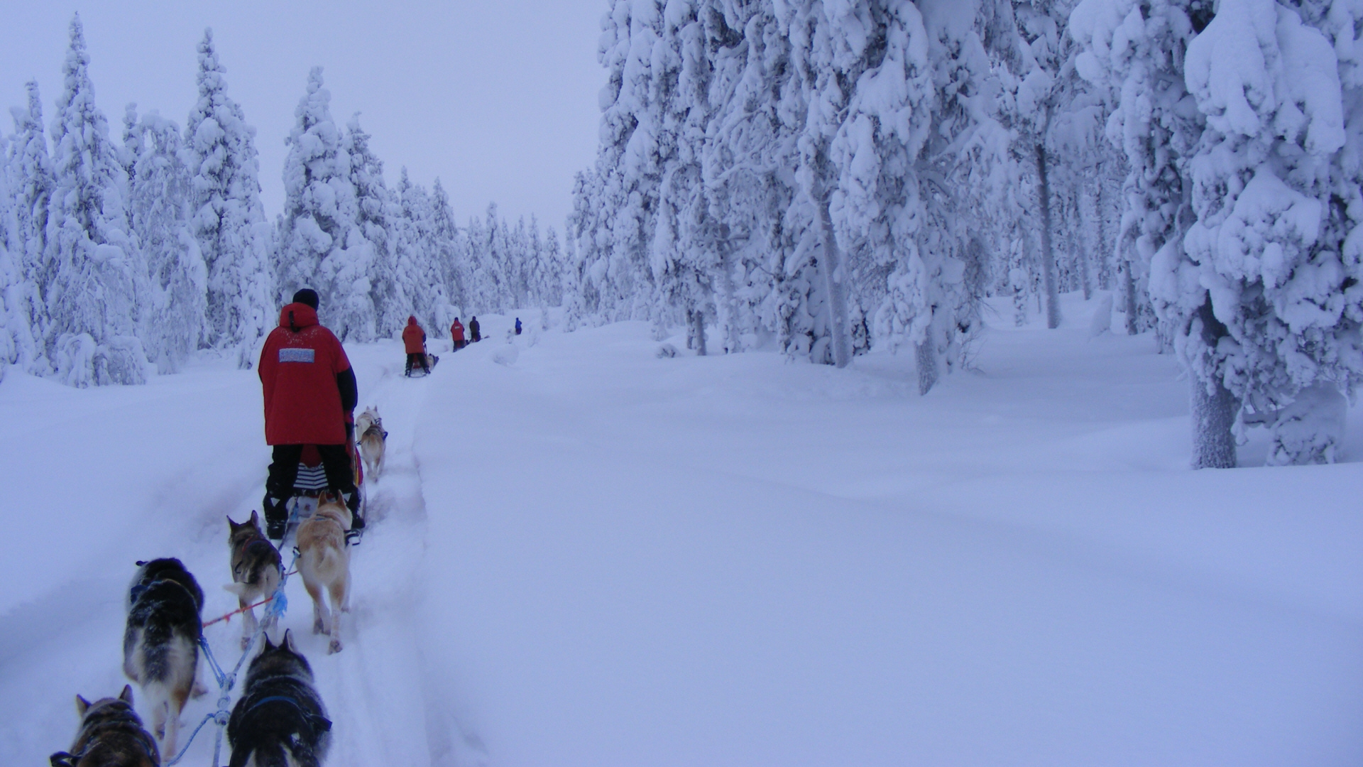 Hoher Schnee liegt auf dem Trail